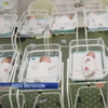 Заручники законів: десятки новонароджених чекають на возз'єднання з рідними батьками
