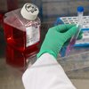 В Украине запускают массовое тестирование на антитела к COVID-19