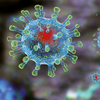 Борьба с коронавирусом: стали известны факторы выздоровления
