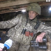На Донбасі позиції військових "інспектують" дикі кабани