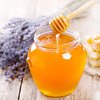 Мед опасен для здоровья: кому противопоказан продукт