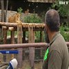 Київський зоопарк після реконструкції відкрили для відвідувачів