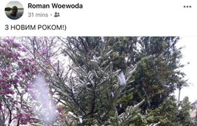 Снег во Львове / Фото: социальрые сети
