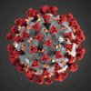 Ученые обнаружили около 200 мутаций коронавируса