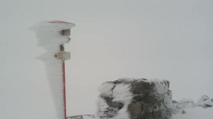 Снег на горе Поп Ива / Фото: facebook.com/vasyl.fitsak