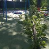 Дерево в парке едва не убило ребенка 