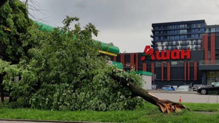 Фото: ураган во Львове / city-adm.lviv.ua