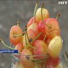 Ціни на ягоди в Україні побили всі рекорди
