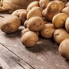 Старый картофель опасен для здоровья