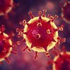 У переболевших коронавирусом обнаружили новые антитела