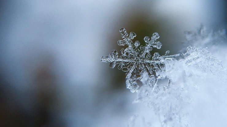 Снег / Фото: Pixabay