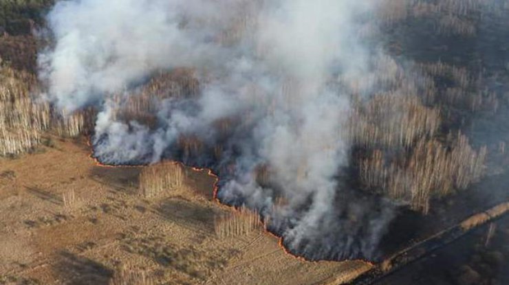 Фото: пожар / strana.ua