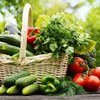 Какой летний овощ способствует здоровью печени
