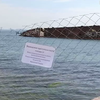 В Одесі закликають прибрати танкер з узбережжя