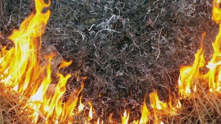 Фото: пожар / slovoidilo.ua