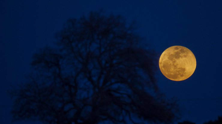 Лунное затмение/ Фото: focus.ua
