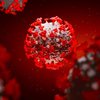 Мутация коронавируса: сколько существует разновидностей смертельной инфекции