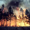 В Сибири свирепствуют масштабные лесные пожары