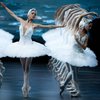Артисты балета станцевали "Лебединое озеро" в ванных (видео)