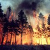 В Луганской области ликвидировали лесной пожар