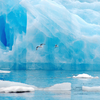 Арктика "побила" исторический температурный максимум 