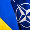 Прекращение огня на Донбассе: реакция НАТО