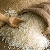 Ученые выявили уникальное свойство риса
