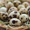 Почему нужно есть перепелиные яйца
