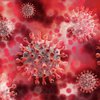 Рождение "смерти": стало известно происхождение коронавируса