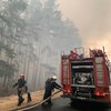 Лесные пожары в Луганской области: 4 жертв, 110 домов сгорели (видео)