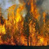  "Надо спасать людей": возле Северодонецка бушуют лесные пожары (видео)