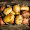 Снимок картофеля в "парикмахерской" победил на британском конкурсе (фото)