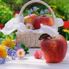 Яблочный Спас: приметы и традиции этого дня