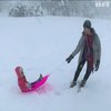 Австралію вкрив метровий шар снігу (відео)