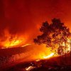 Жуткие кадры: в Калифорнии лесные пожары вспыхнули с новой силой (фото, видео) 