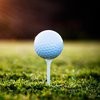 Еліта спорту, дипломатії та бізнесу провела гольф-турнір до Дня незалежності