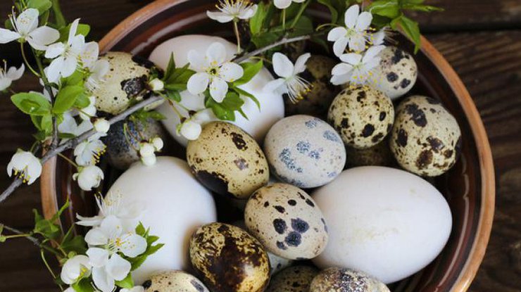 Фото: перепелиные яйца
