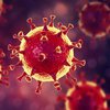 В Индонезии обнаружили "неизвестный" коронавирус 