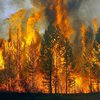 В Украине объявили чрезвычайную пожарную опасность