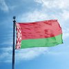 Выборы президента Беларуси: ЦИК дал первые данные
