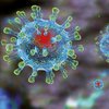 Создан белок, способный побороть коронавирус