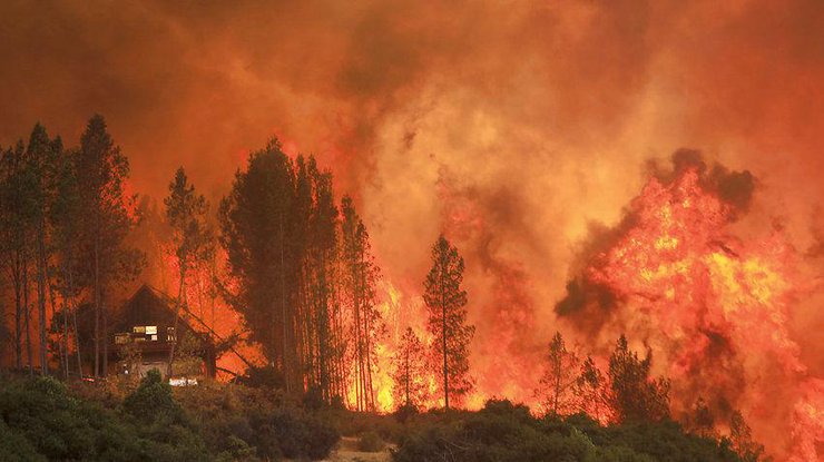 Лесные пожары в Калифорнии/Фото: elvocero