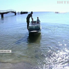 Унікальний екологічний проєкт: на Кінбурнській косі взялися очищати море