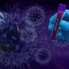 В ВОЗ зафиксировали крупнейший суточный антирекорд по коронавирусу