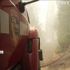Від лісових пожеж у США загинули десятки людей