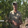 Смачно та корисно: на Київщині збирають небачені врожаї винограду
