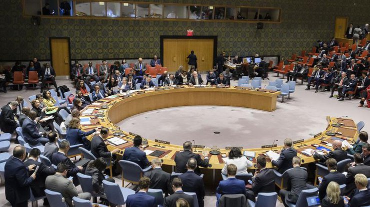  Заседание Совета Безопасности ООН / Фото: ООН/М.Элиас
