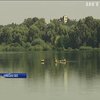 Вбивство екосистеми: чому в озері на Київщині масово гине риба