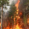В Херсонской области локализовали лесной пожар