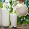 Ученые выявили вред от чрезмерного употребления молока